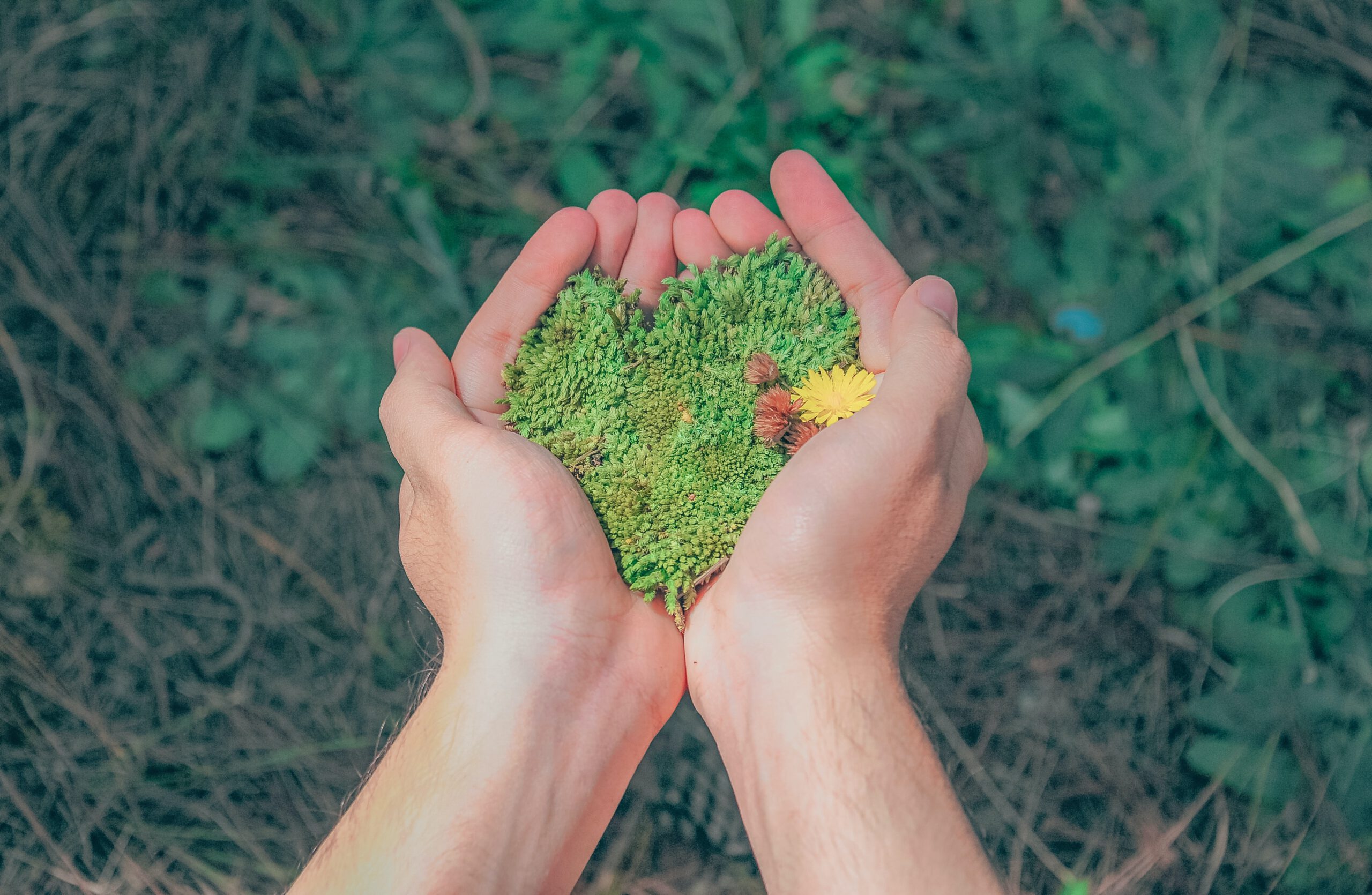 Vers un monde meilleur pour l'Homme et la nature